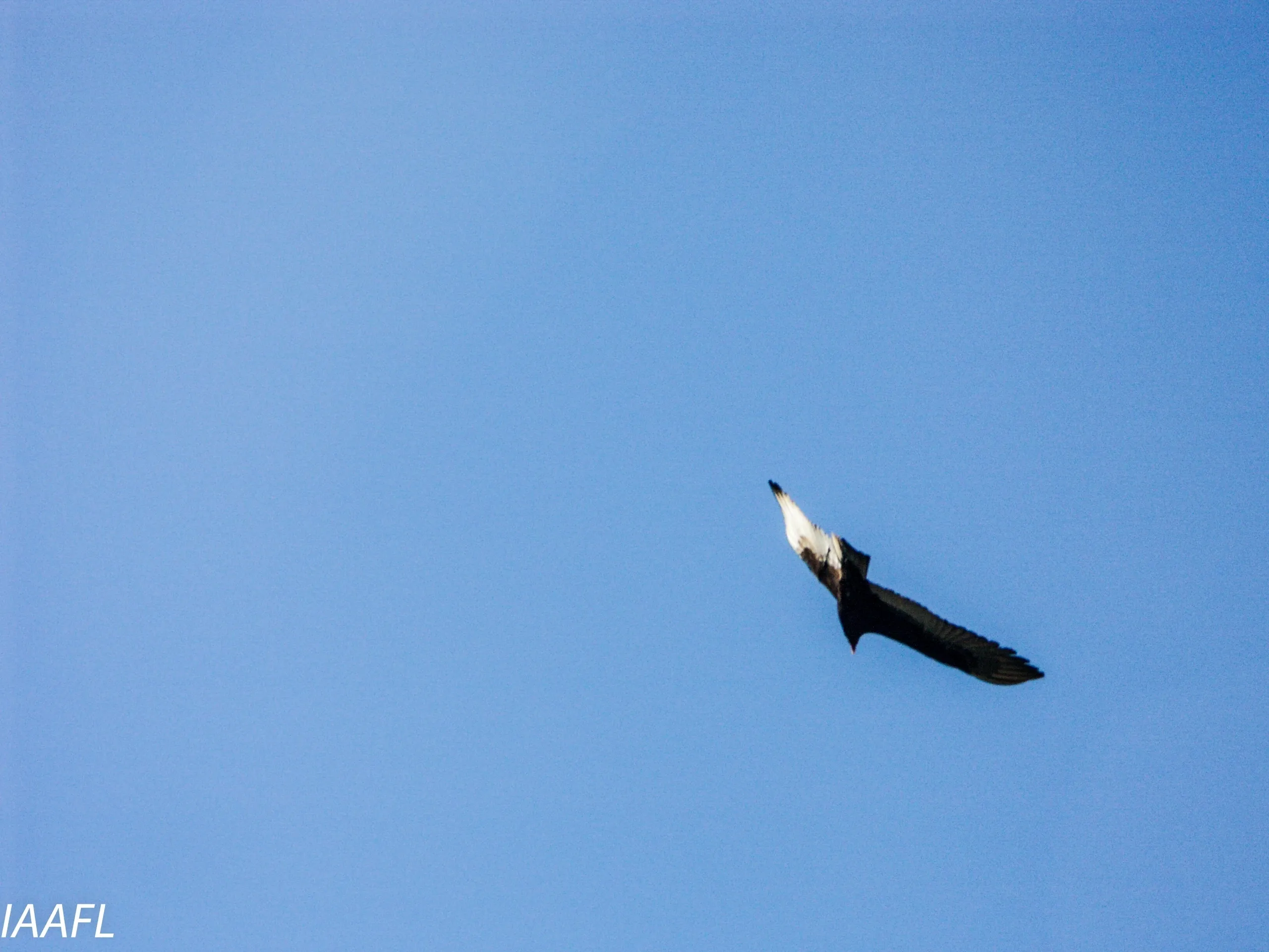 You are currently viewing #6 When more is less, less is more, more is more and more or less