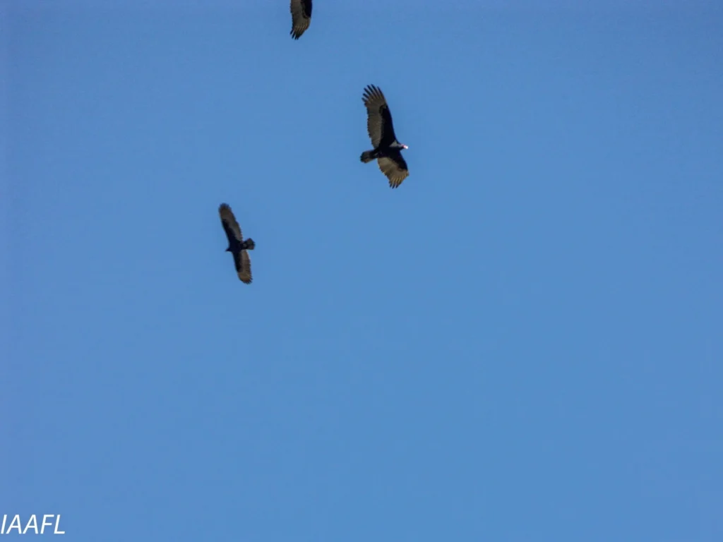 #7 Compromise is not same as Hygge