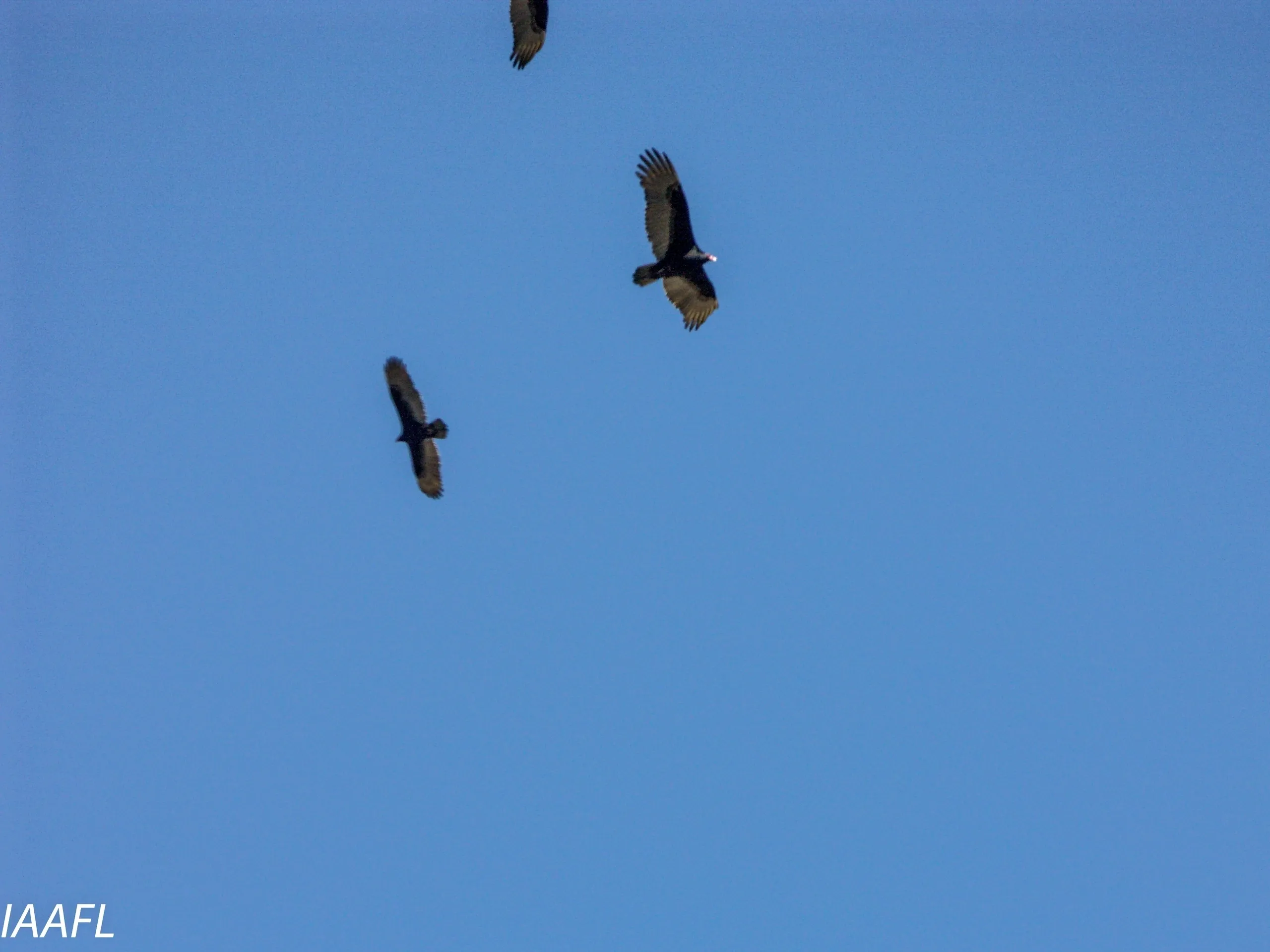 You are currently viewing #7 Compromise is not same as Hygge