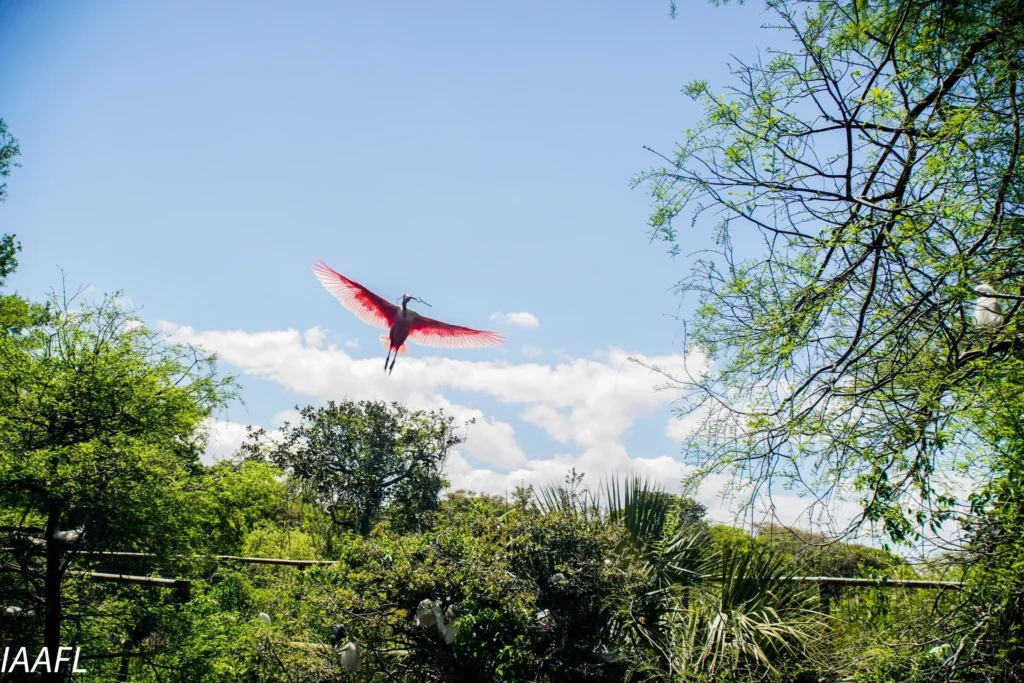 #9 When life deals you a lemon….