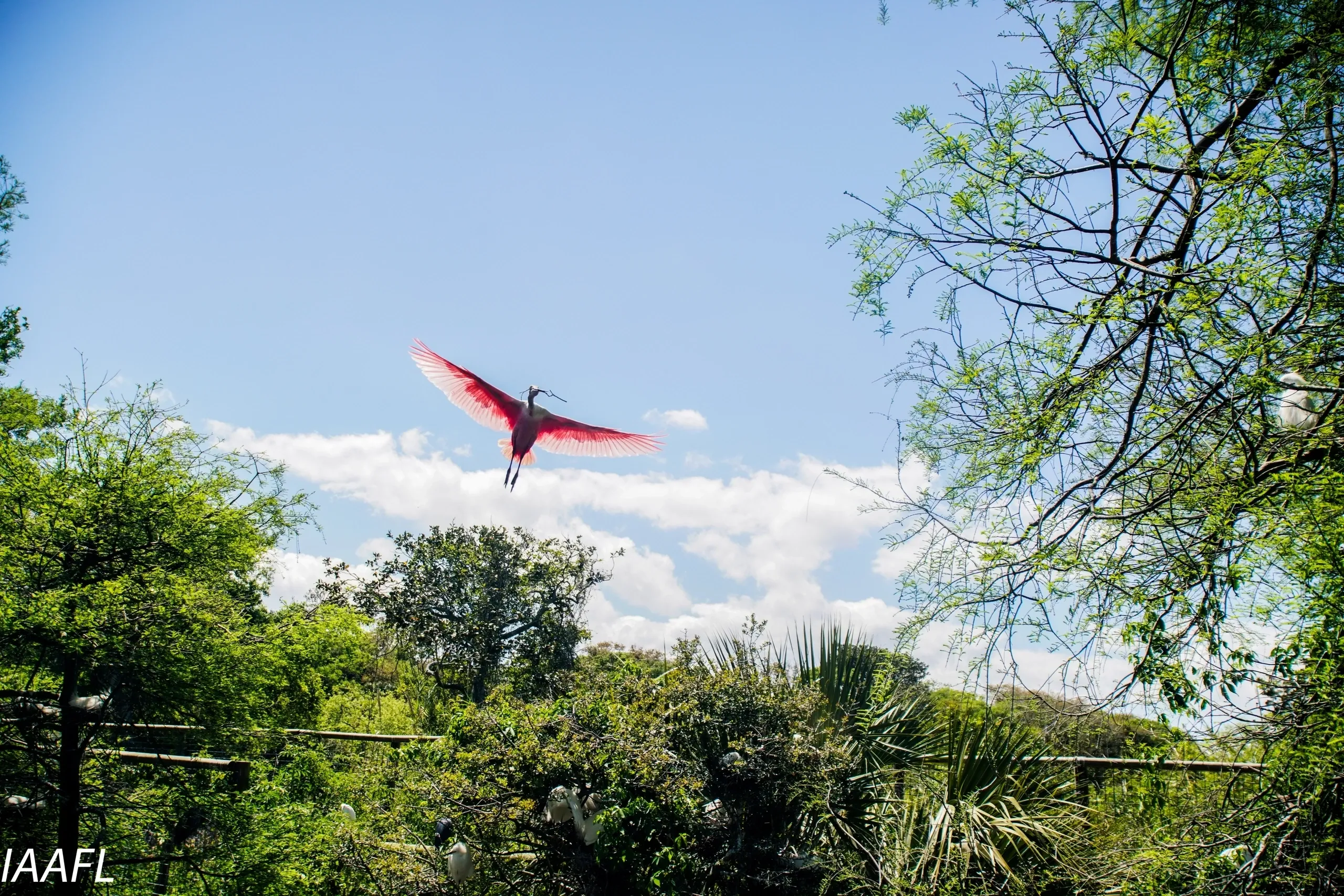 You are currently viewing #9 When life deals you a lemon….