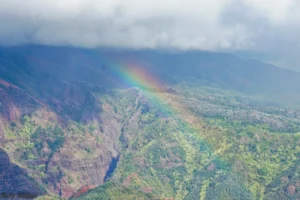 Read more about the article #16 Chasing Tomorrows