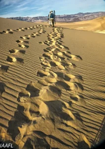 Read more about the article #23 One step backward, two steps forward