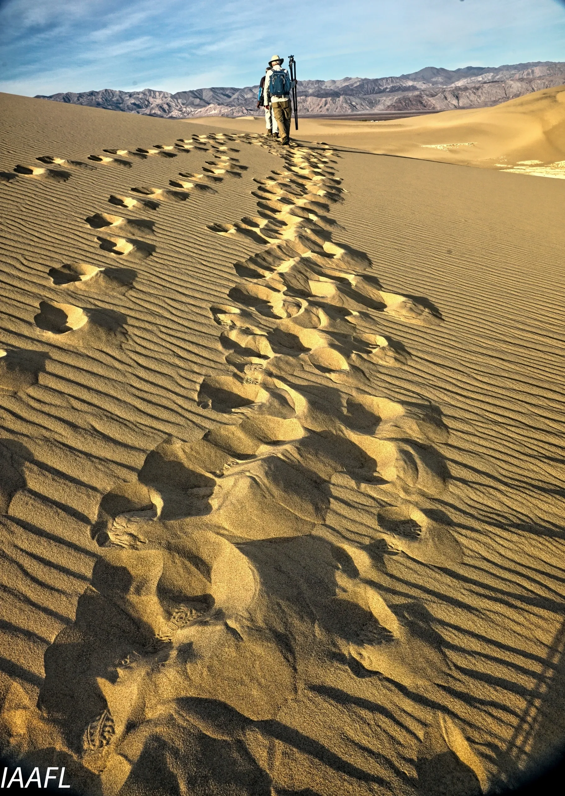 You are currently viewing #23 One step backward, two steps forward