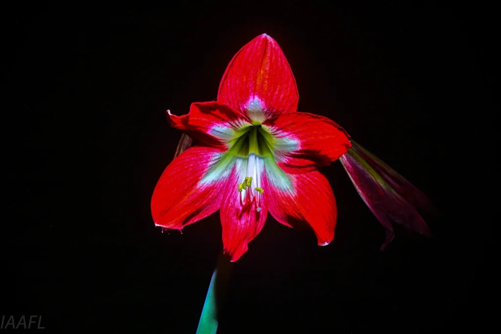 #25 Doing same things differently OR doing different things