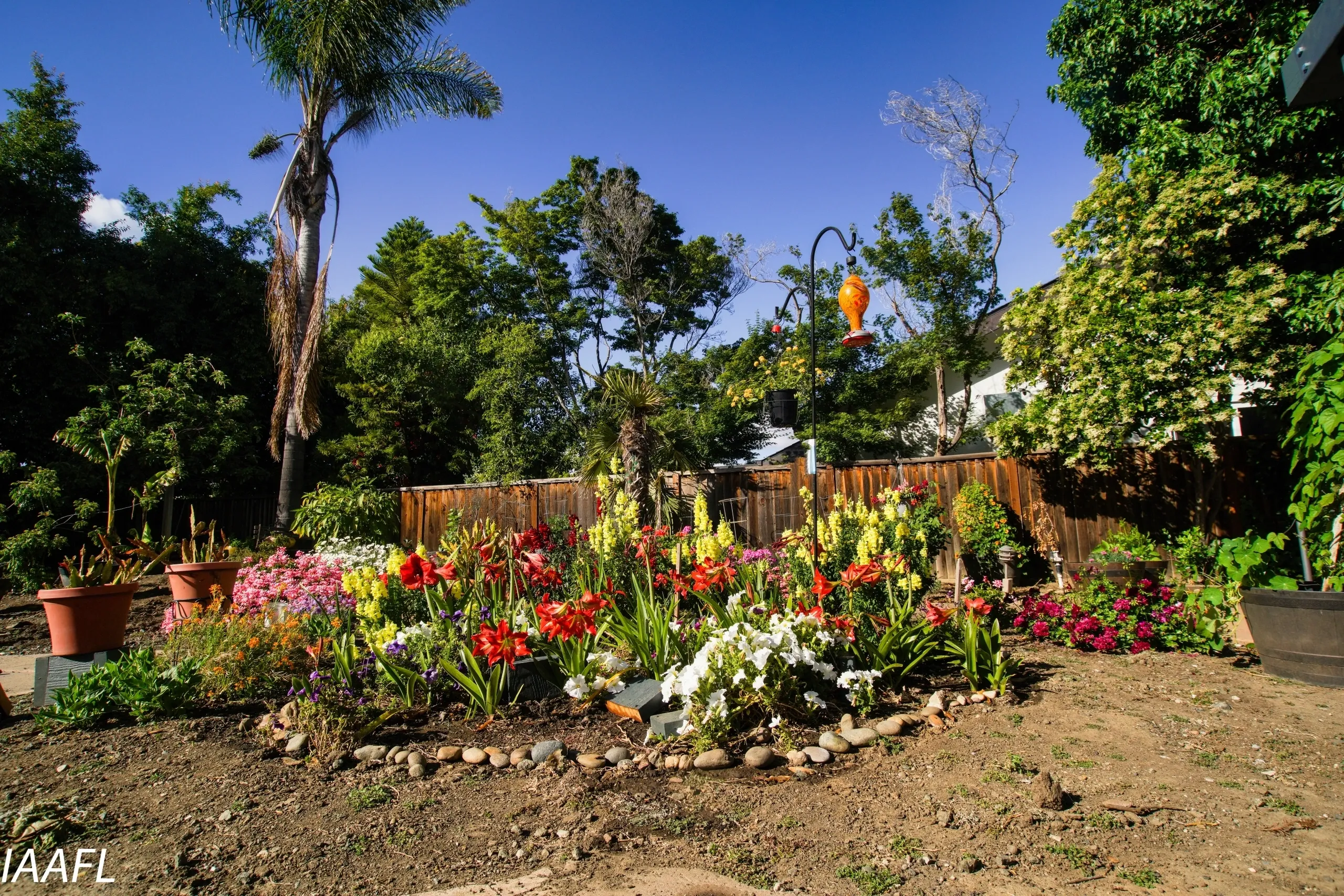 You are currently viewing #28 To plant a garden is to believe in tomorrow – Audrey Hepburn