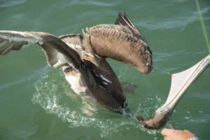 Read more about the article #30 Born under a bad sign