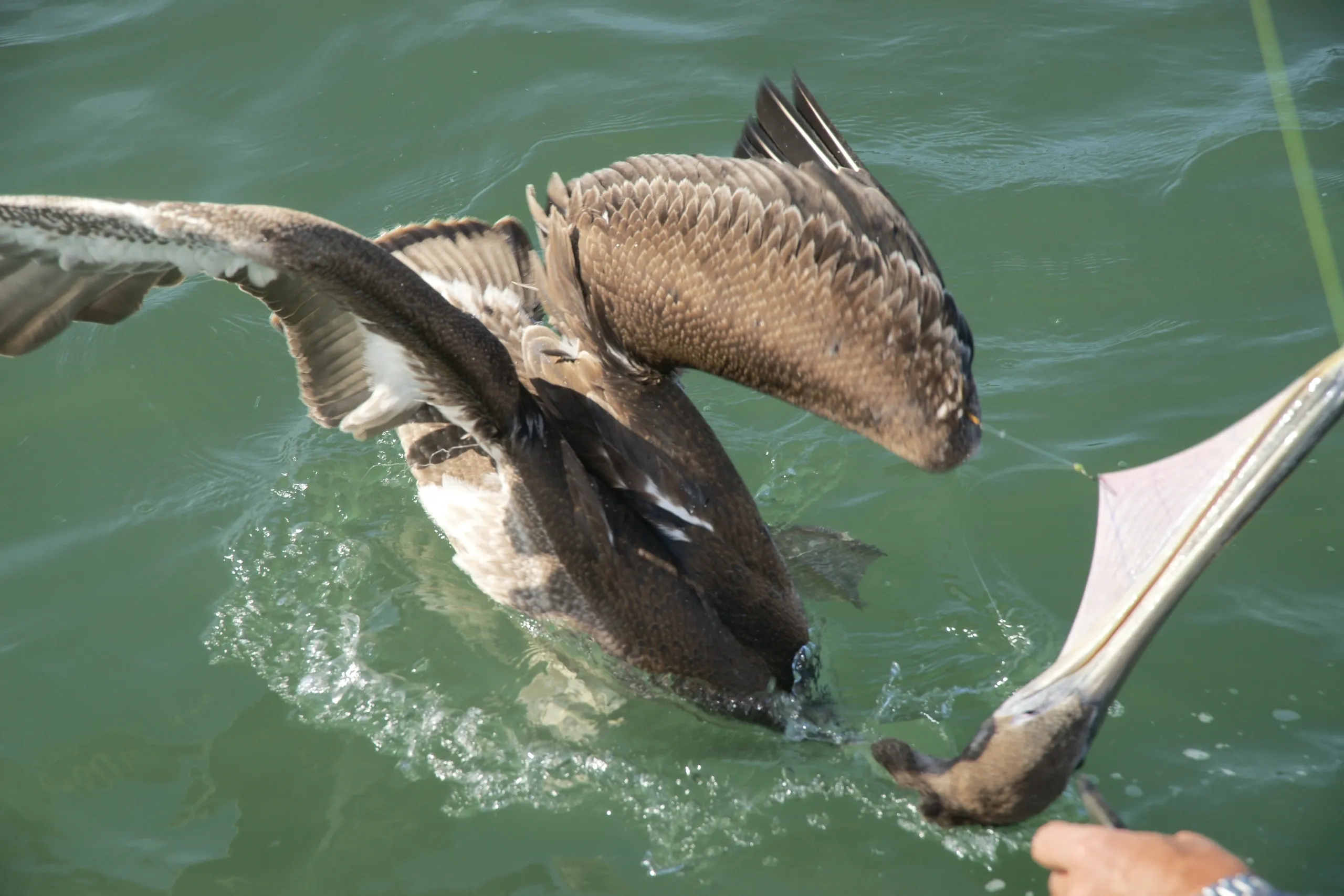 You are currently viewing #30 Born under a bad sign