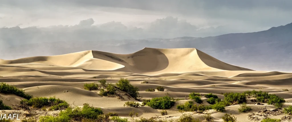 #32 Panopticon Prison