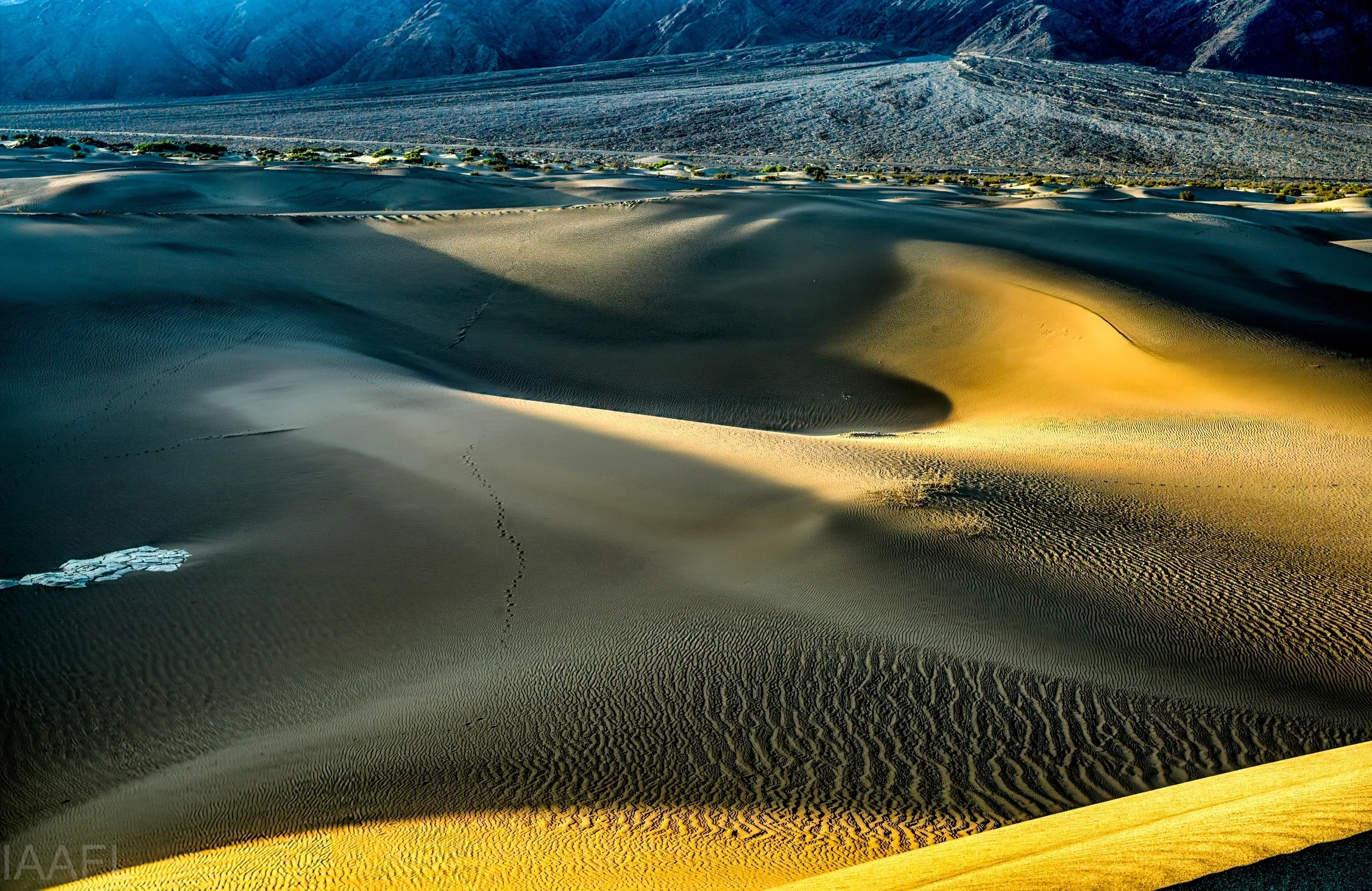 You are currently viewing #33 Truth is liberating.