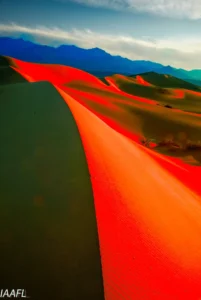 Read more about the article #34 When eleven times become enough times…