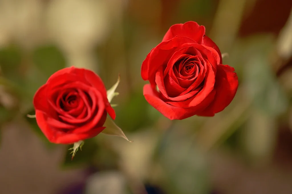 #37 Verschlimbessern – Redux