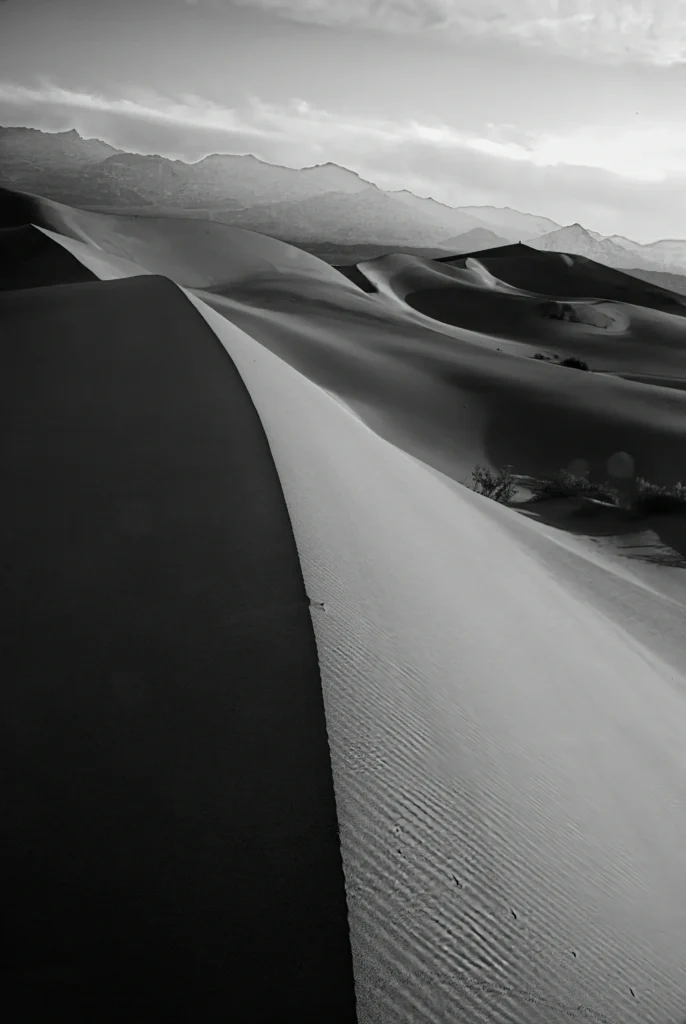 #39 A mile of highway