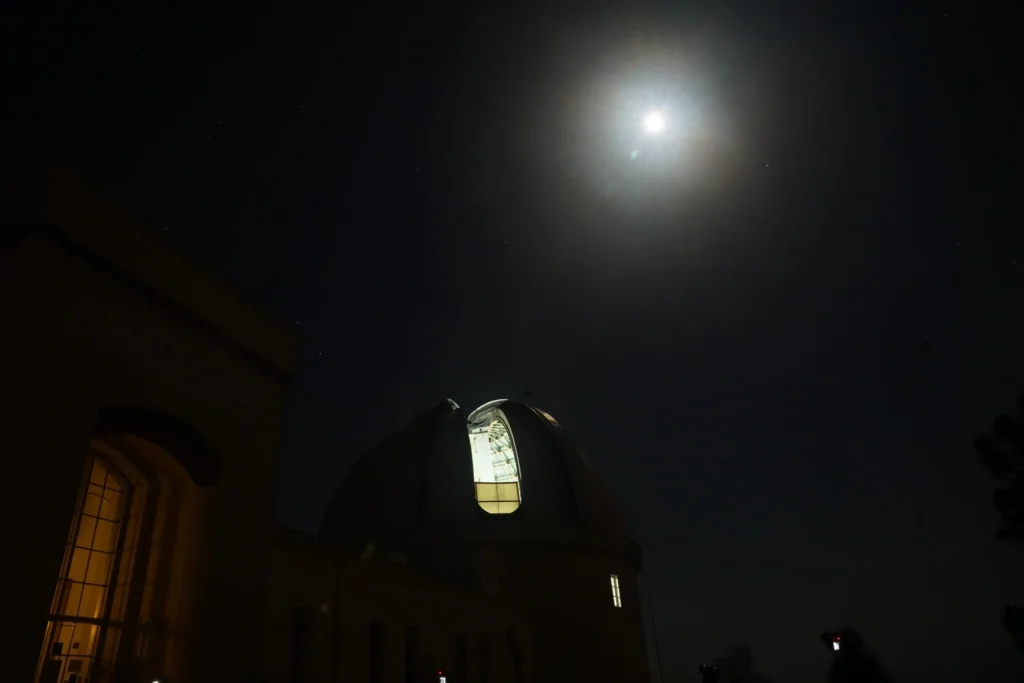 #43 Happiness is like a Butterfly