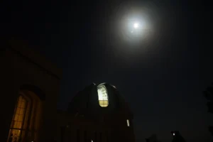 Read more about the article #43 Happiness is like a Butterfly