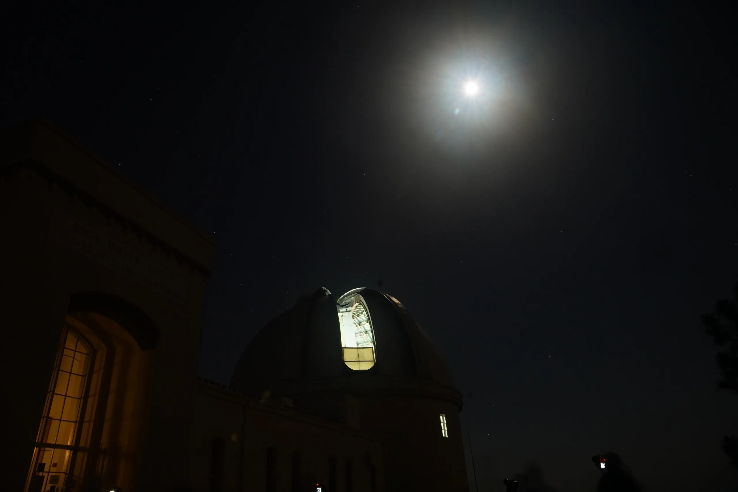 You are currently viewing #43 Happiness is like a Butterfly