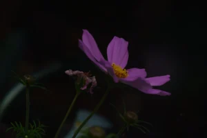 Read more about the article #47 Devil is in the Detail