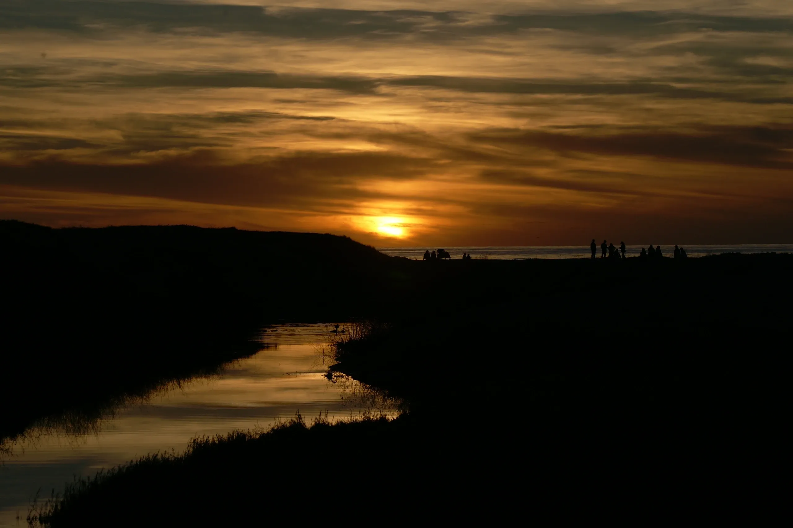 You are currently viewing #52 Why do when you can Overdo?