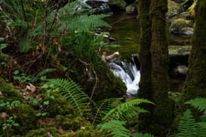 Read more about the article #53 Experience versus Learning