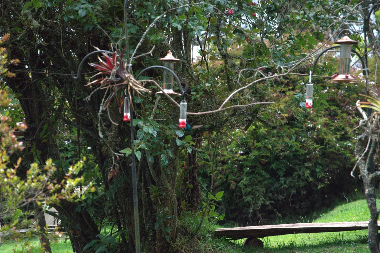 You are currently viewing #55 Enouement