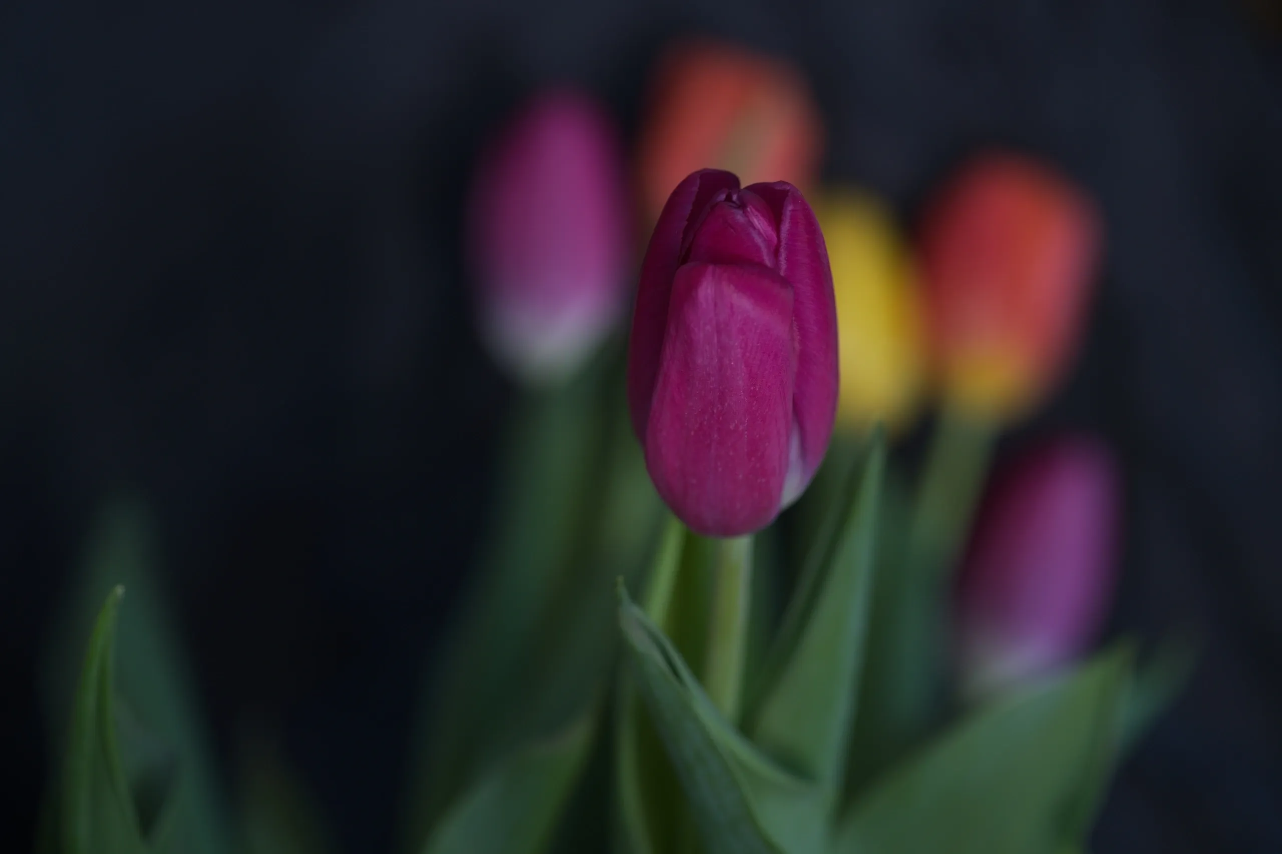 You are currently viewing #62 Ellipsism