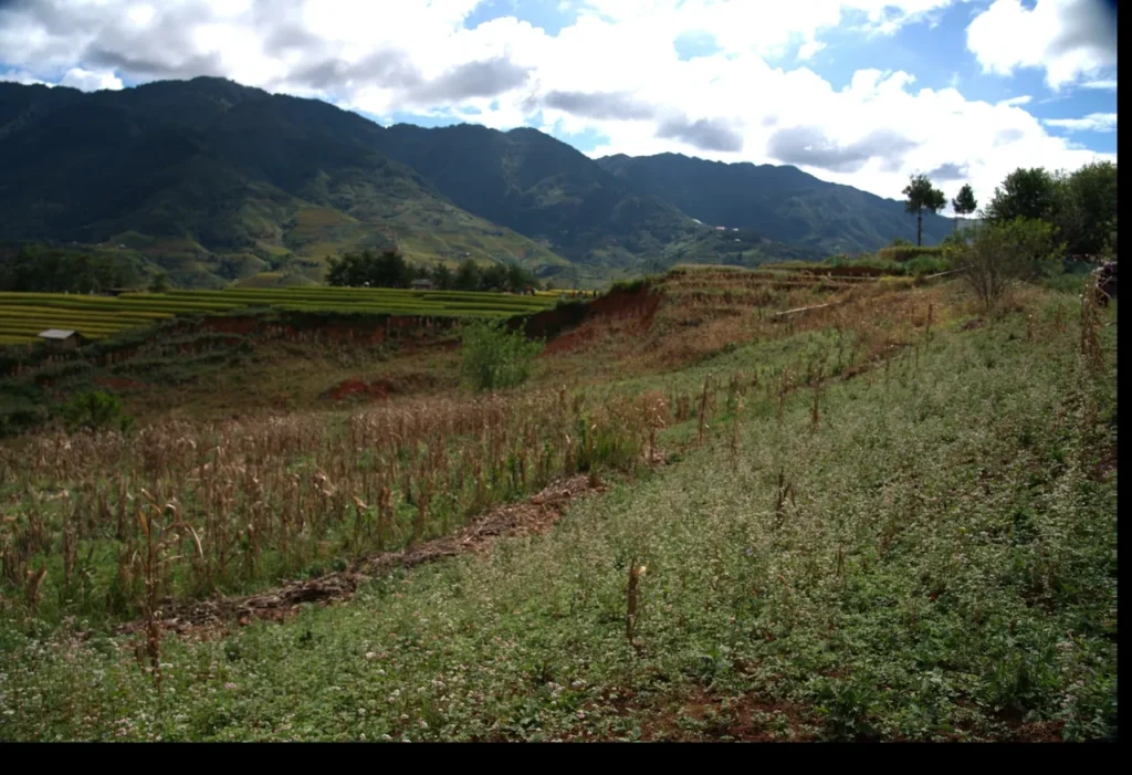 #68 Intellectual Humility – Singing A Different Song